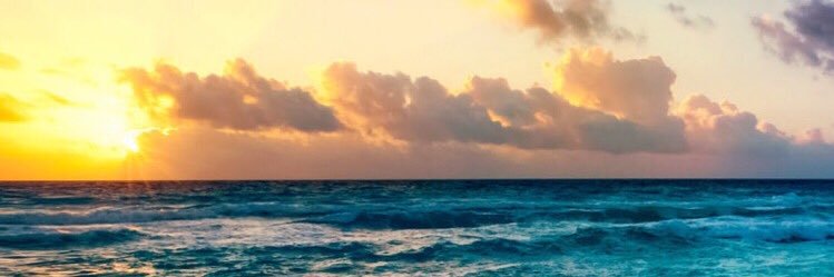 mochachocaya's profile banner image
