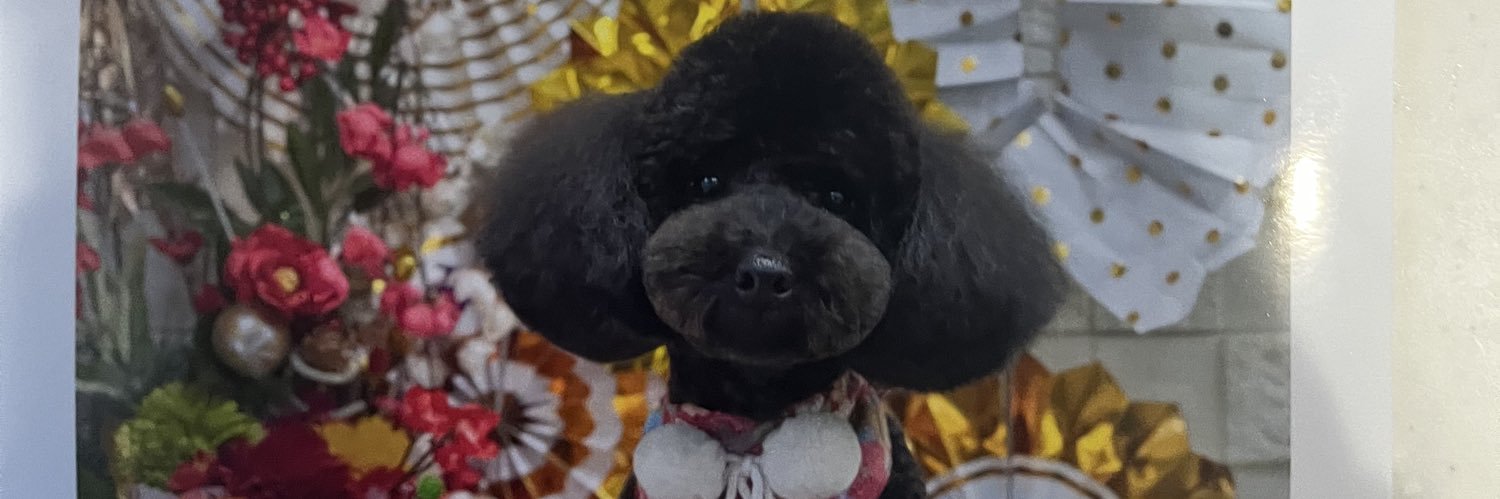 ハクはむ🐹🐶 banner