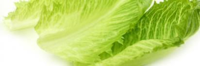 TurtleMcConnell's profile banner image