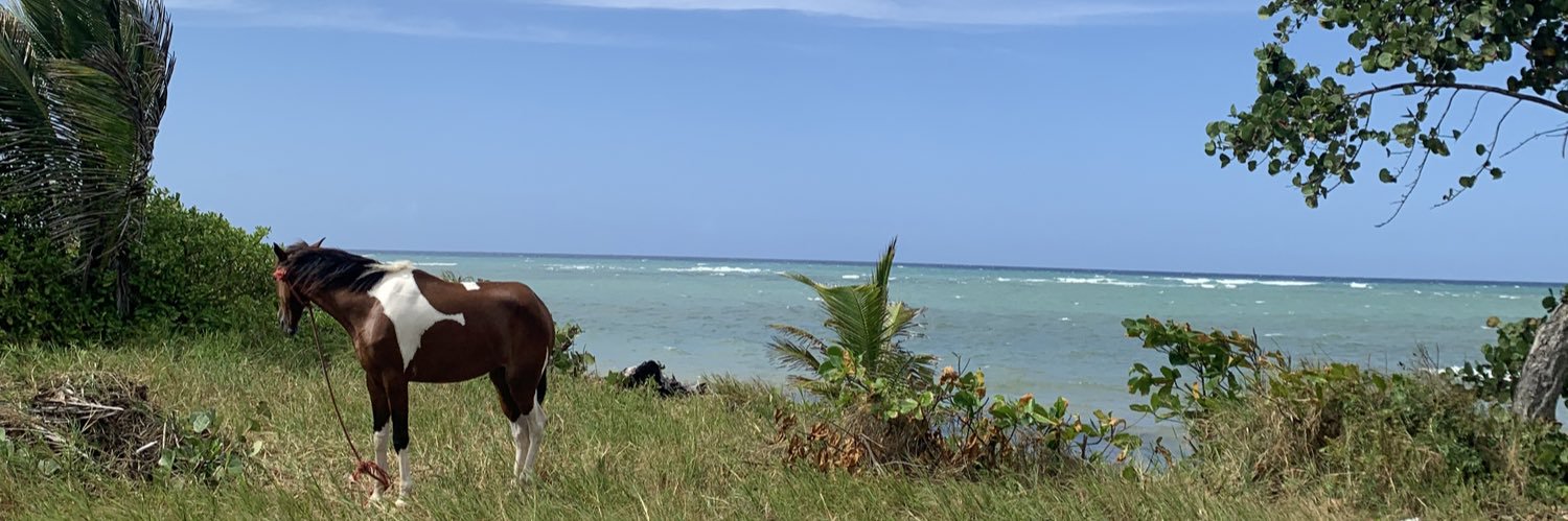 YisettCruz's profile banner image