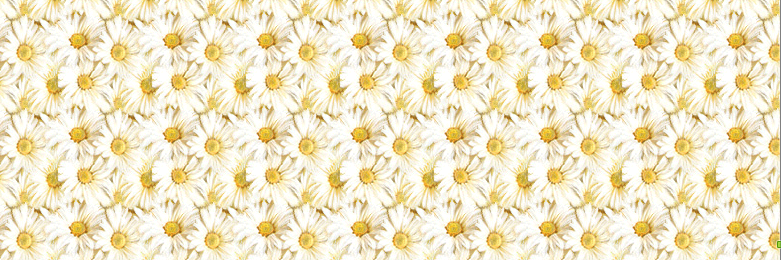 GeooGeorgina's profile banner image