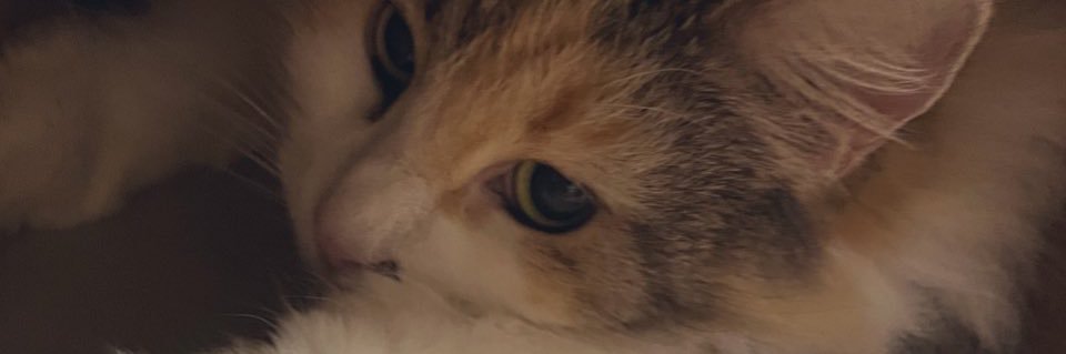 yuno00200's profile banner image