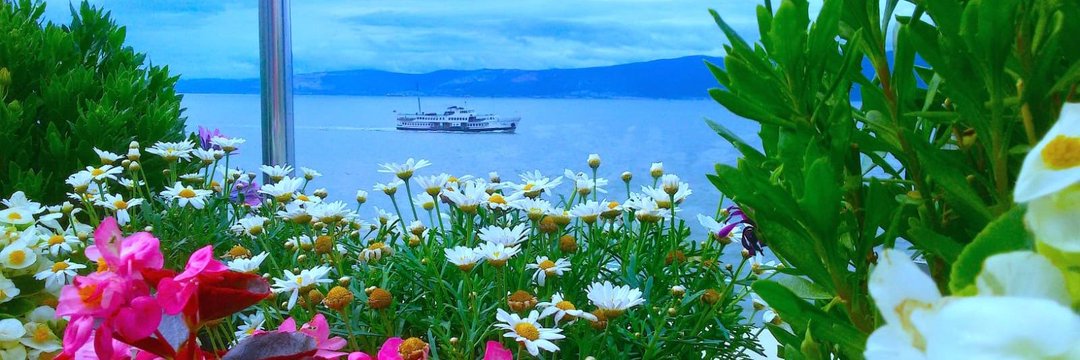 ayten2758's profile banner image
