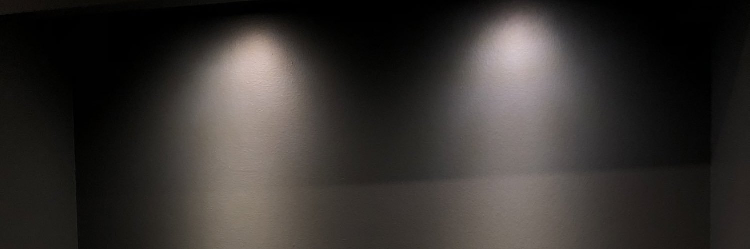 rodeleliee's profile banner image