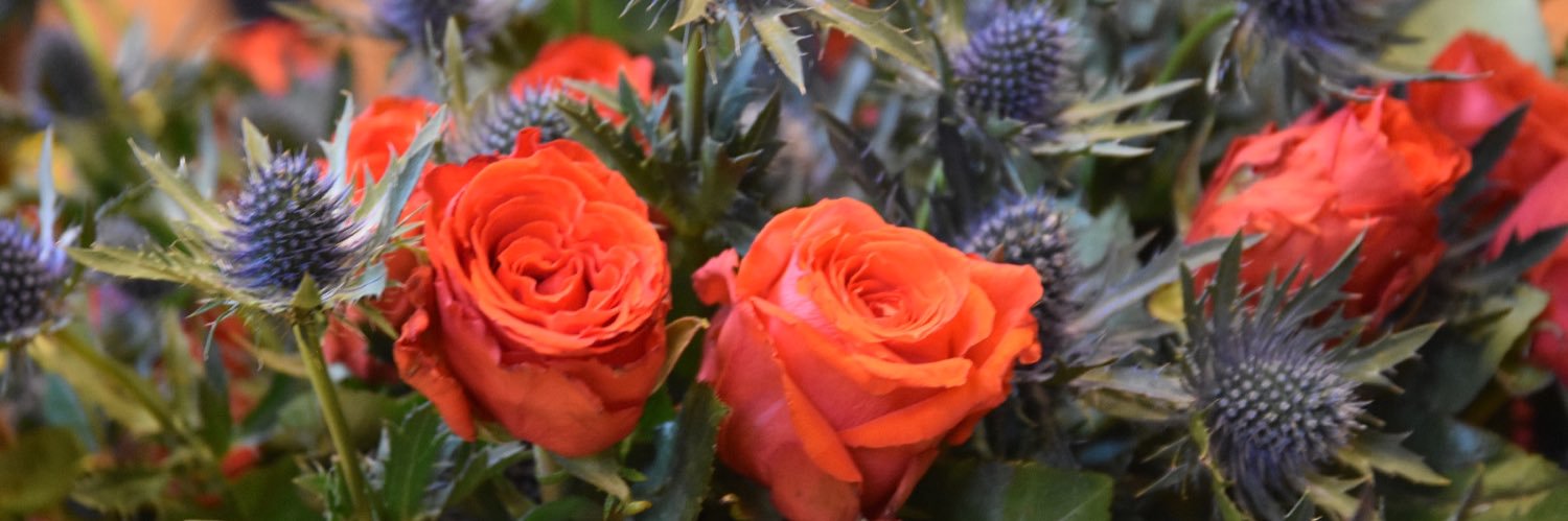 Centre Català d’Escòcia🏴󠁧󠁢󠁳󠁣󠁴󠁿 banner