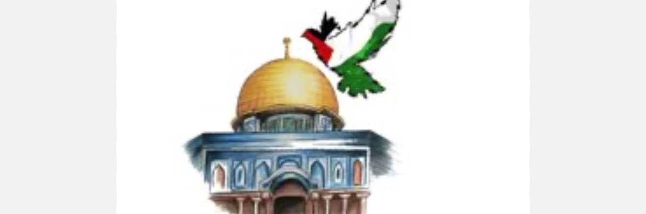 Dr. C. Kâni Torun banner