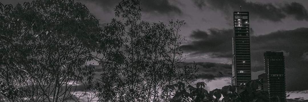 Twitter banner for @rolomaluco