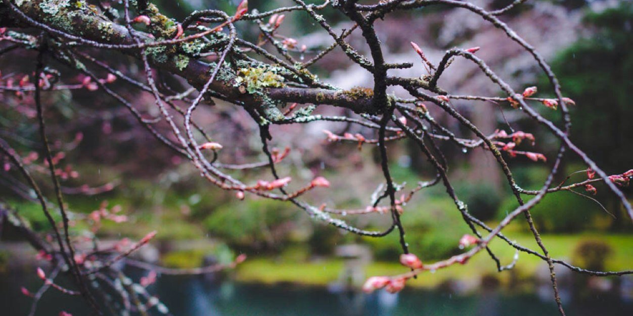 luneblog's profile banner image