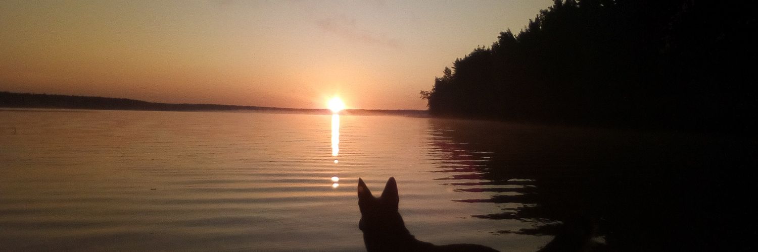 lnr_dog's profile banner image