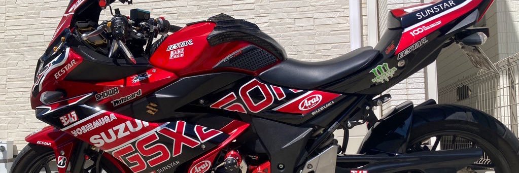 mini49EGA's profile banner image