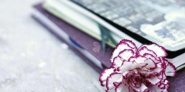 MohammedAlmliki's profile banner image