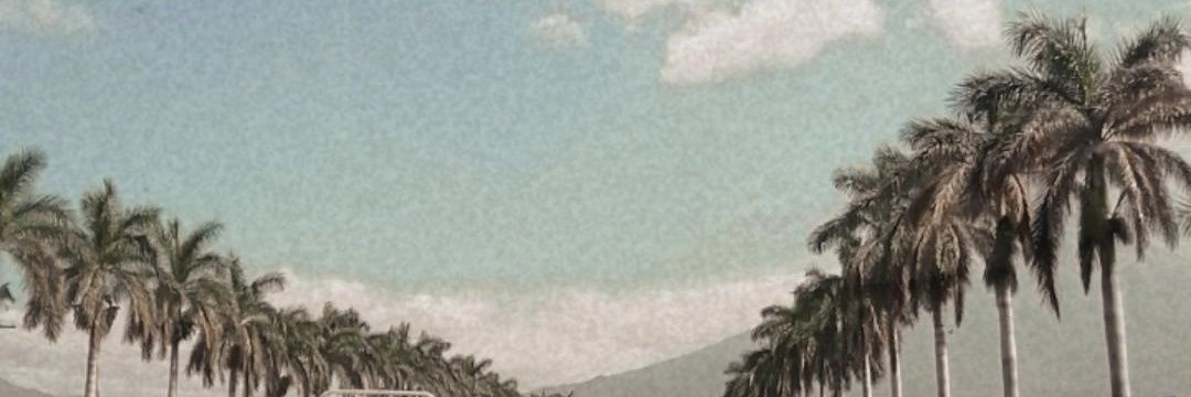 Astridherranjer's profile banner image