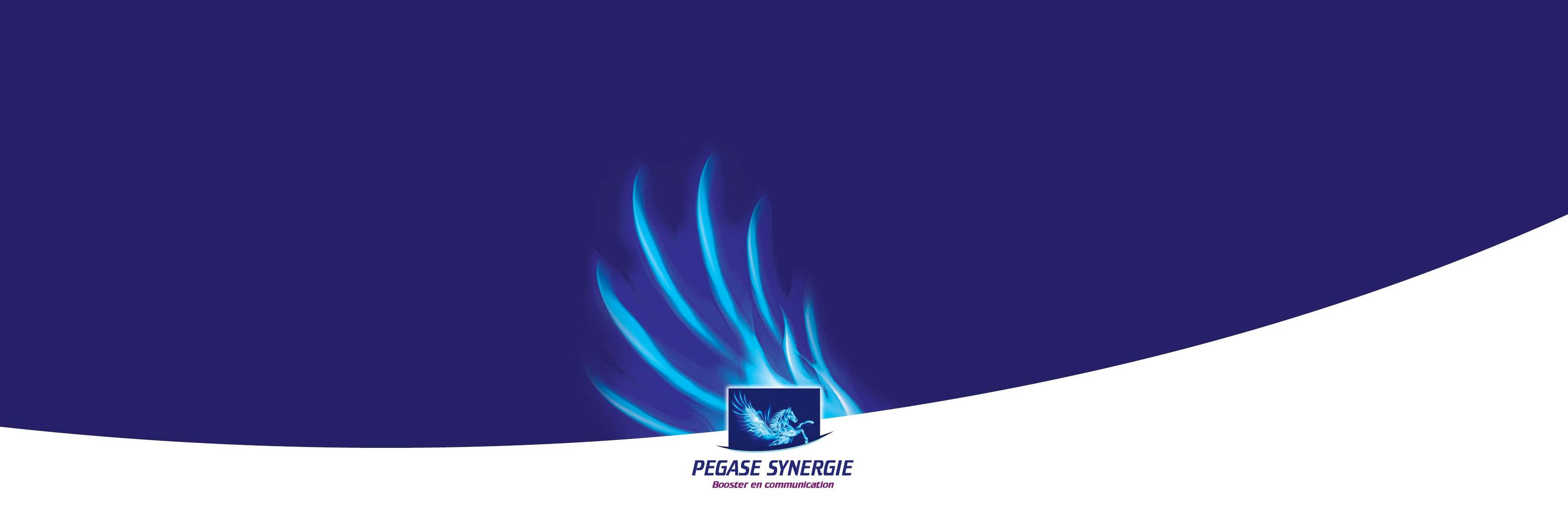 PegaseSynergie's profile banner image