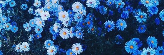 dagilovee's profile banner image