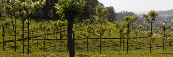 yukon Profile Banner