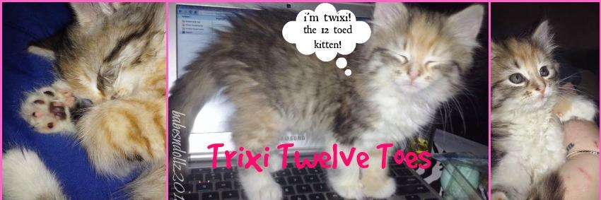 TrixiTwelveToes's profile banner image