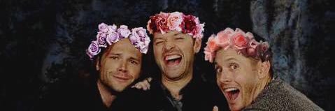 randikay444's profile banner image