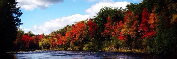 ExactDrive Inc. banner