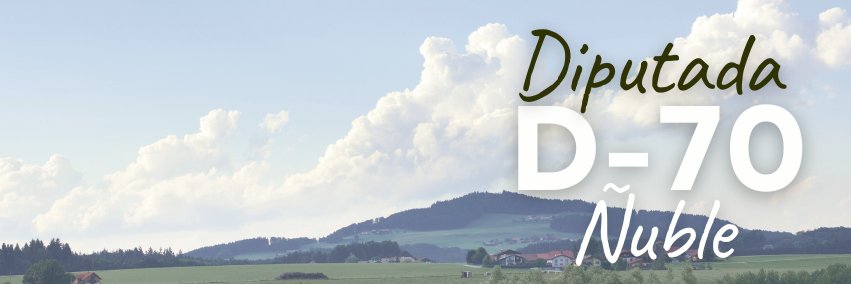 susanayb's profile banner image