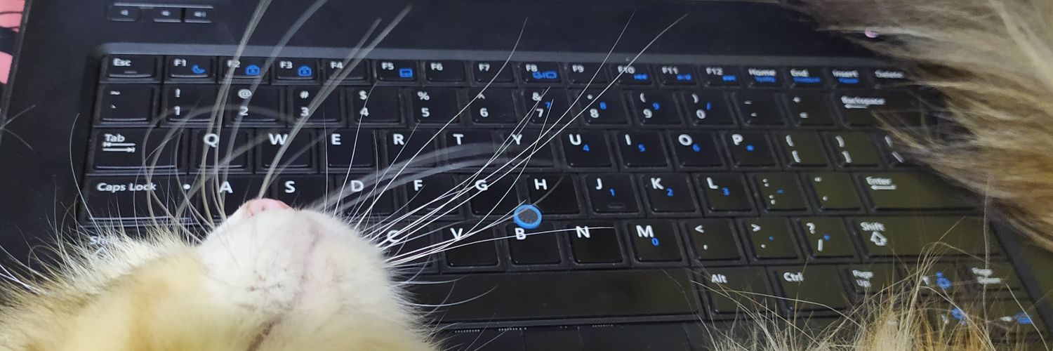 minsolitus's profile banner image