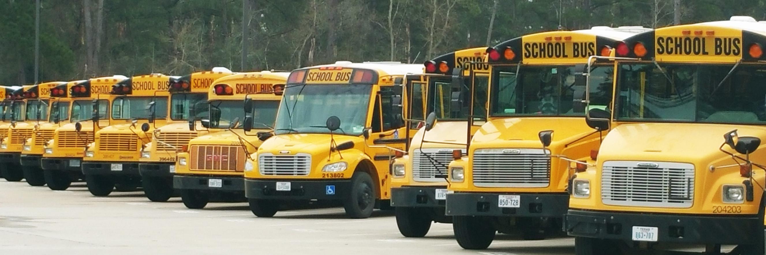 TISD Transportation banner