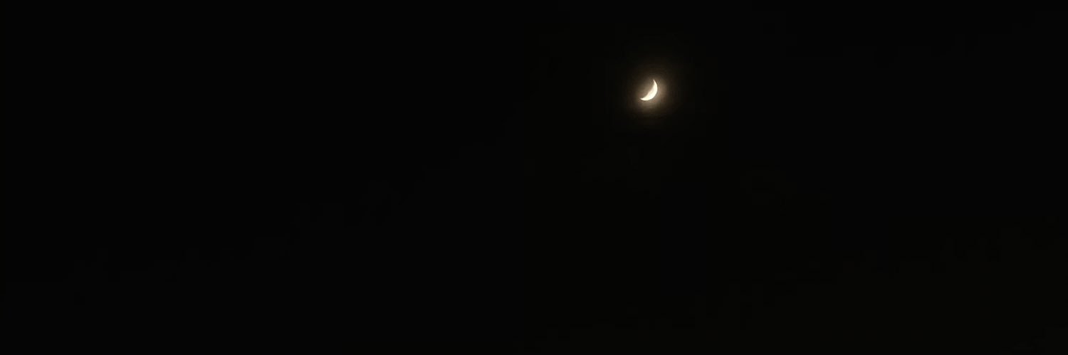 arieru1255's profile banner image