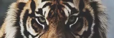 7MauricioR's profile banner image