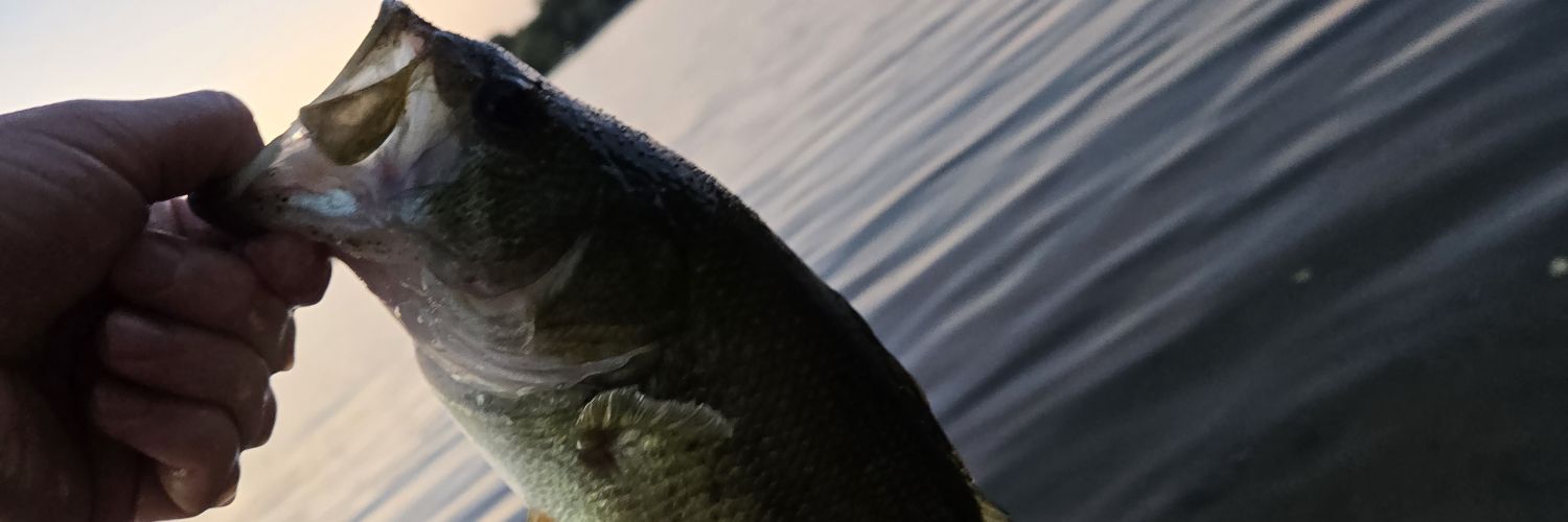 HowsonOwen's profile banner image