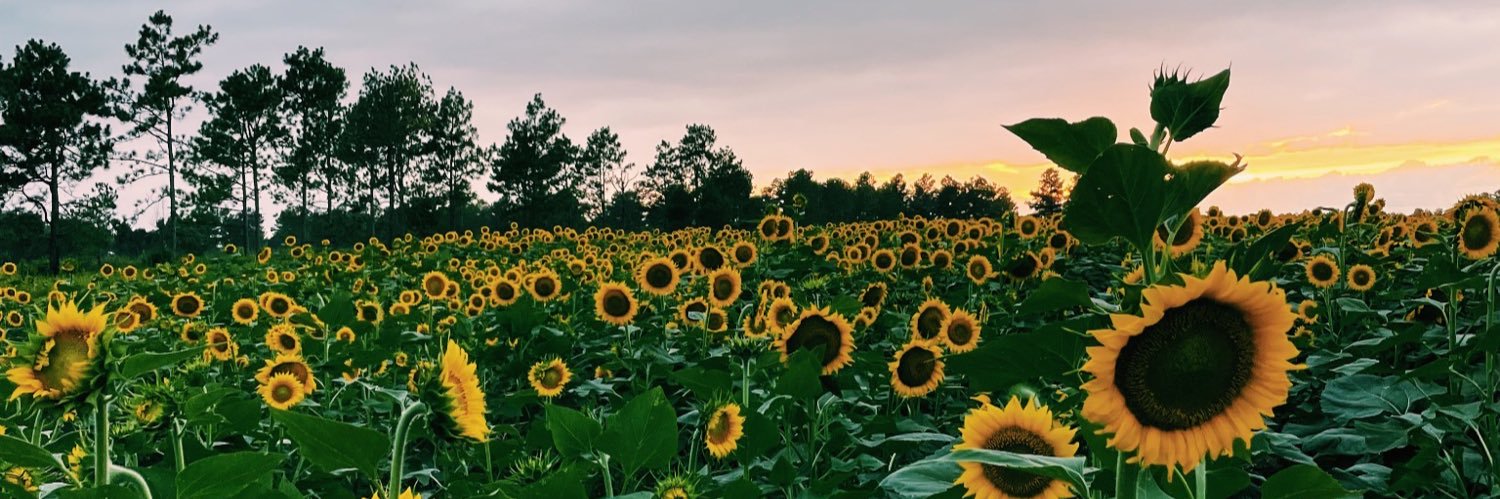 elaina_ann_'s profile banner image
