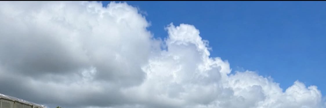 jane_sheny's profile banner image