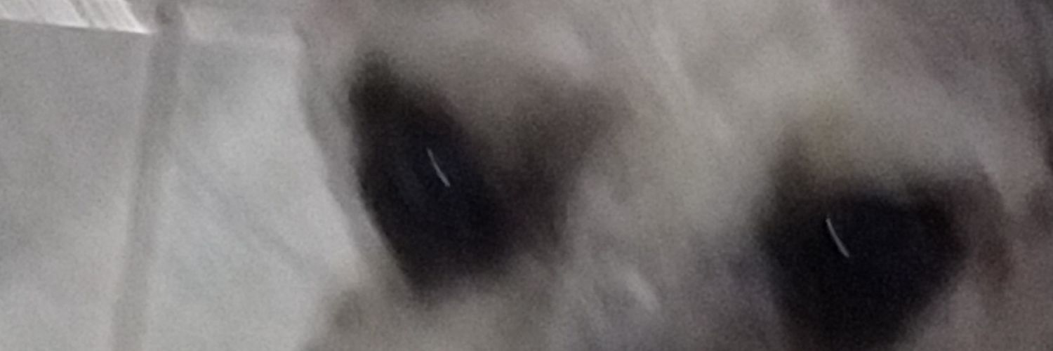 Crecax's profile banner image