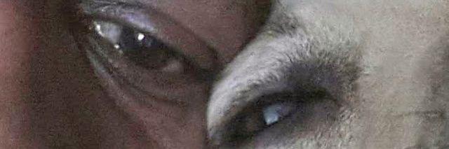 keithpurnell's profile banner image