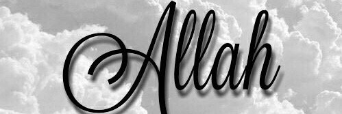 5555_rose's profile banner image
