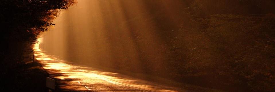 raj_nee_sh's profile banner image