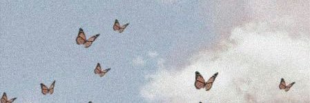 Micarusso__'s profile banner image