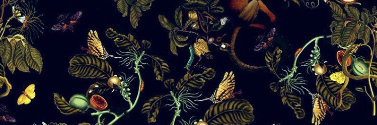 __x_x___x's profile banner image