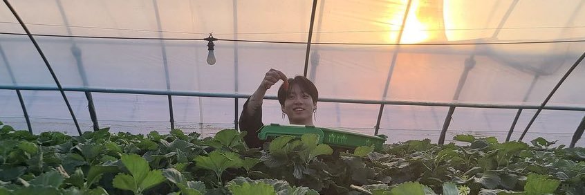 joiisuh's profile banner image