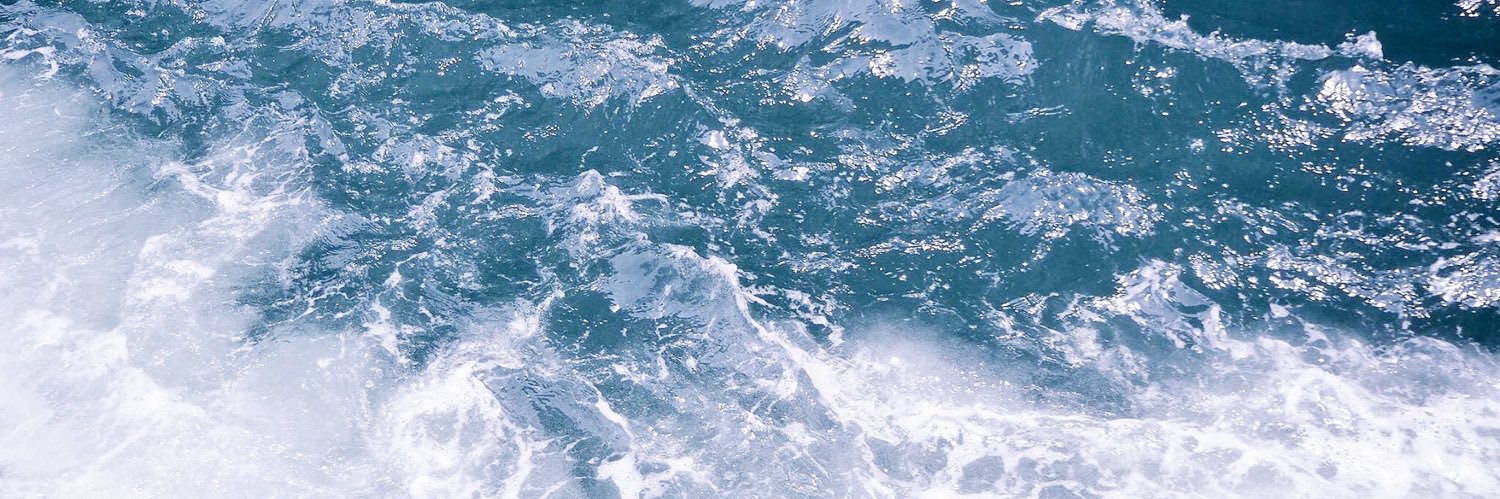 ᴡʜᴏ ᴋɴᴏᴡꜱ. banner