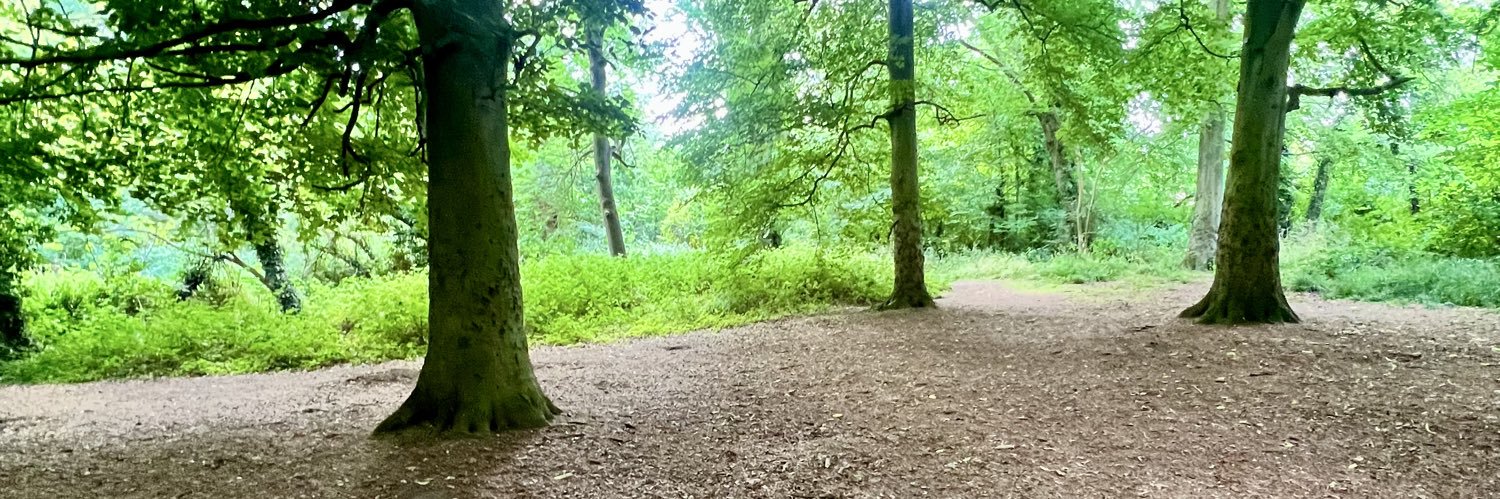 ❣️𝕊𝕒𝕝𝕝𝕪 ℕ𝕚𝕔𝕠❣️ banner