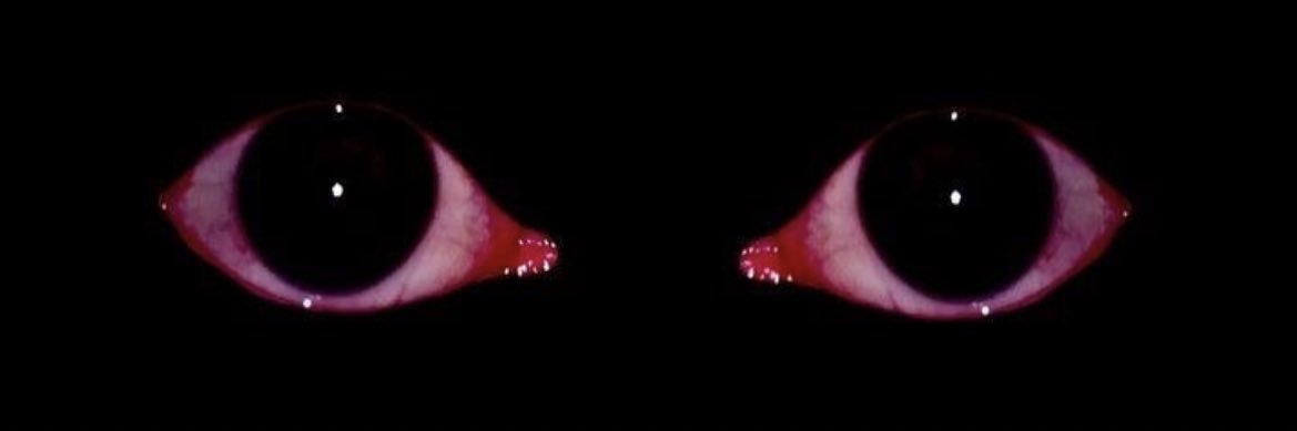 humangargoyle's profile banner image