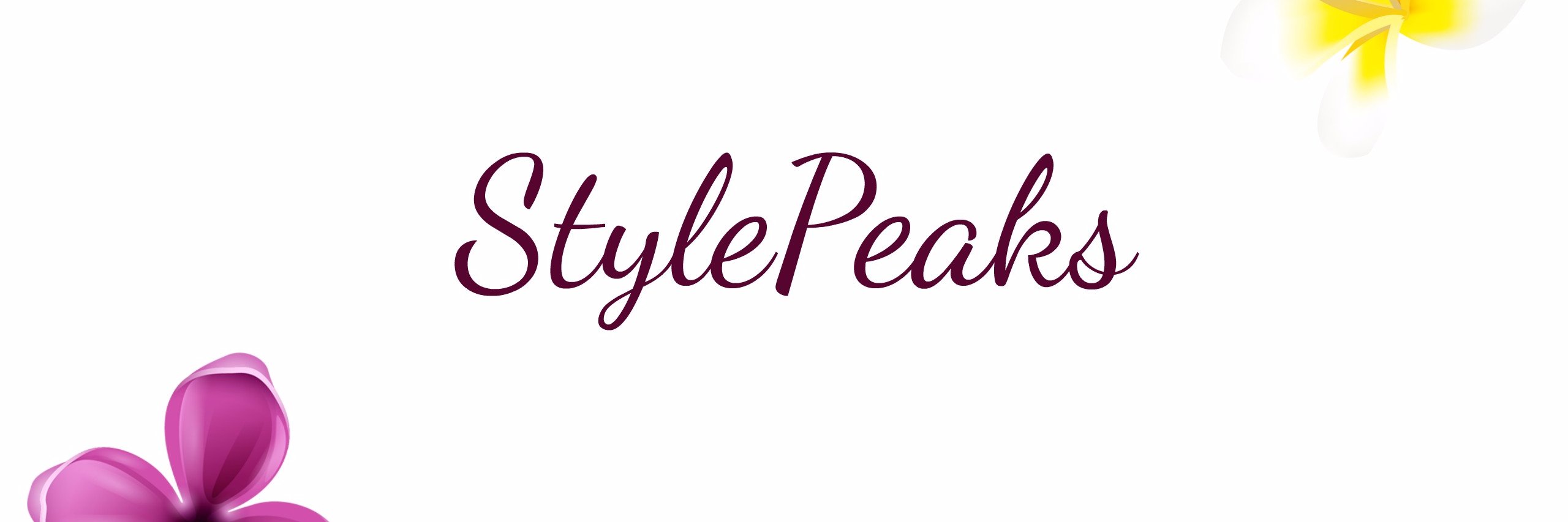stylepeaks's profile banner image