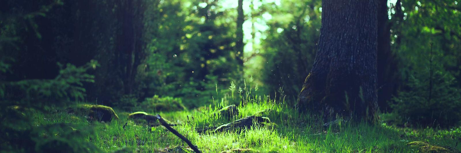 BladderCancer.Me banner