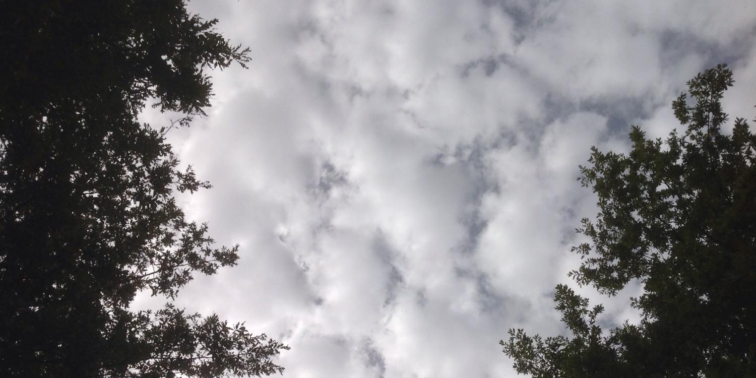 CronicheDiLaura's profile banner image