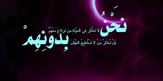alaa19829501's profile banner image