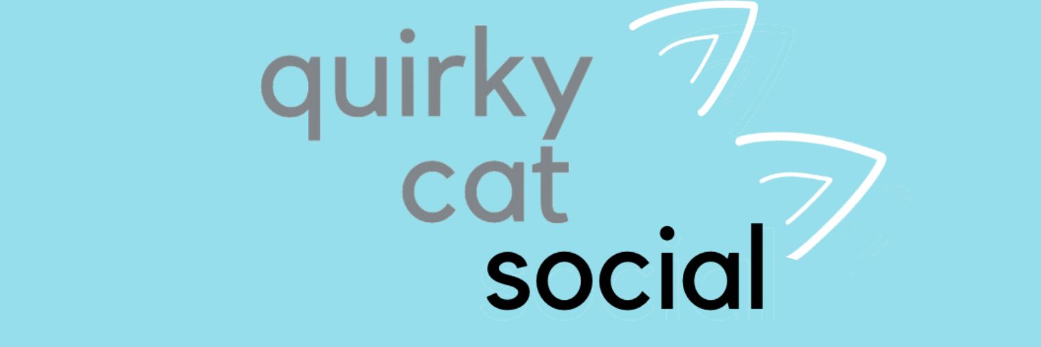 QuirkyCatSMM's profile banner image