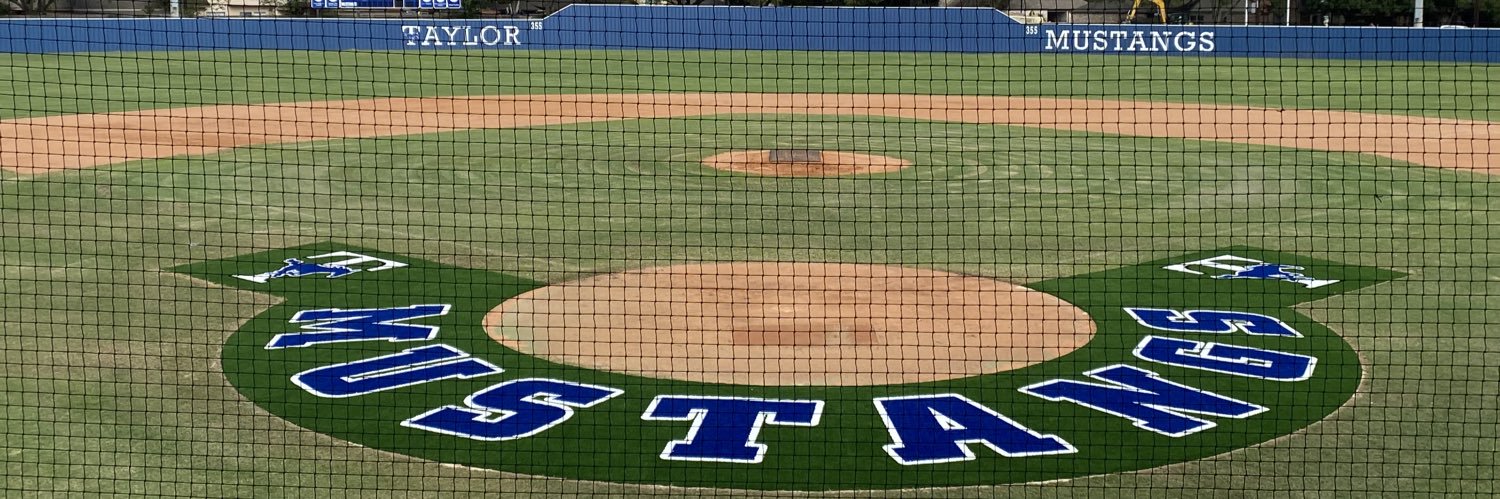 Taylor HS Baseball banner