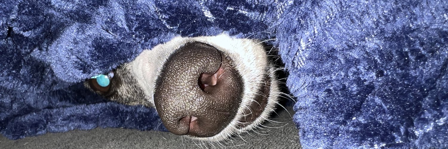 WUDItheWUD's profile banner image
