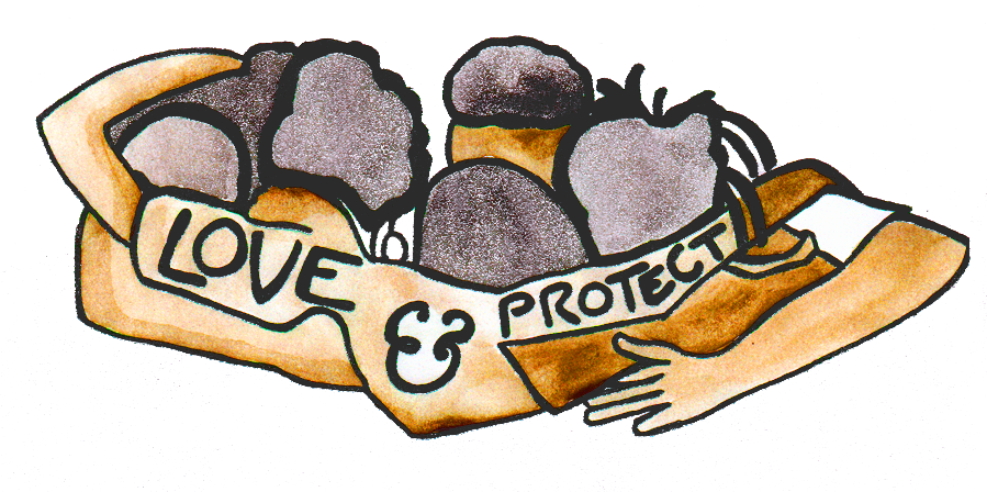 Love & Protect banner