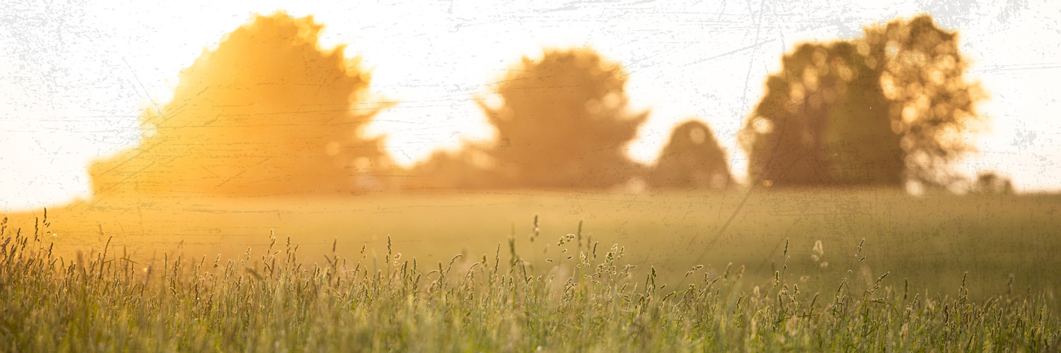 BehlenCountry's profile banner image