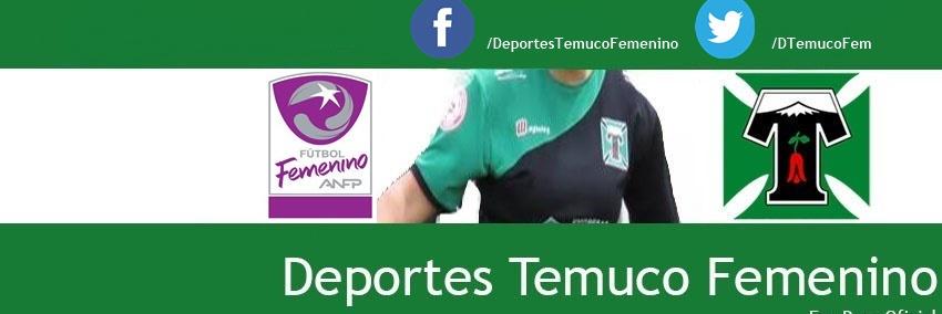 DTemucoFem's profile banner image